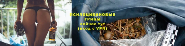 соль курить ск Верхний Тагил