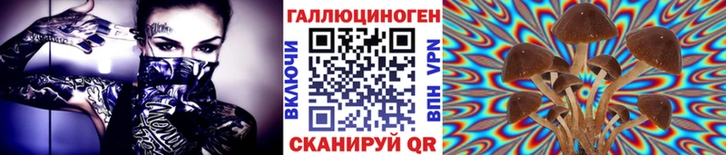 Псилоцибиновые грибы мухоморы  omg как войти  Вышний Волочёк 